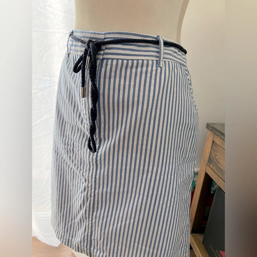 Talbots Striped Blue and White Skirt - Picture 3 of 7